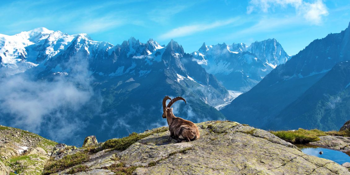 Atemberaubende Schweiz: Matterhorn, Brienzersee und Rheinfall