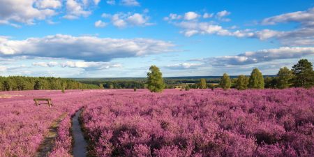 Alpen, Nordsee und Ostsee: Die schönsten Reiseziele in Deutschland