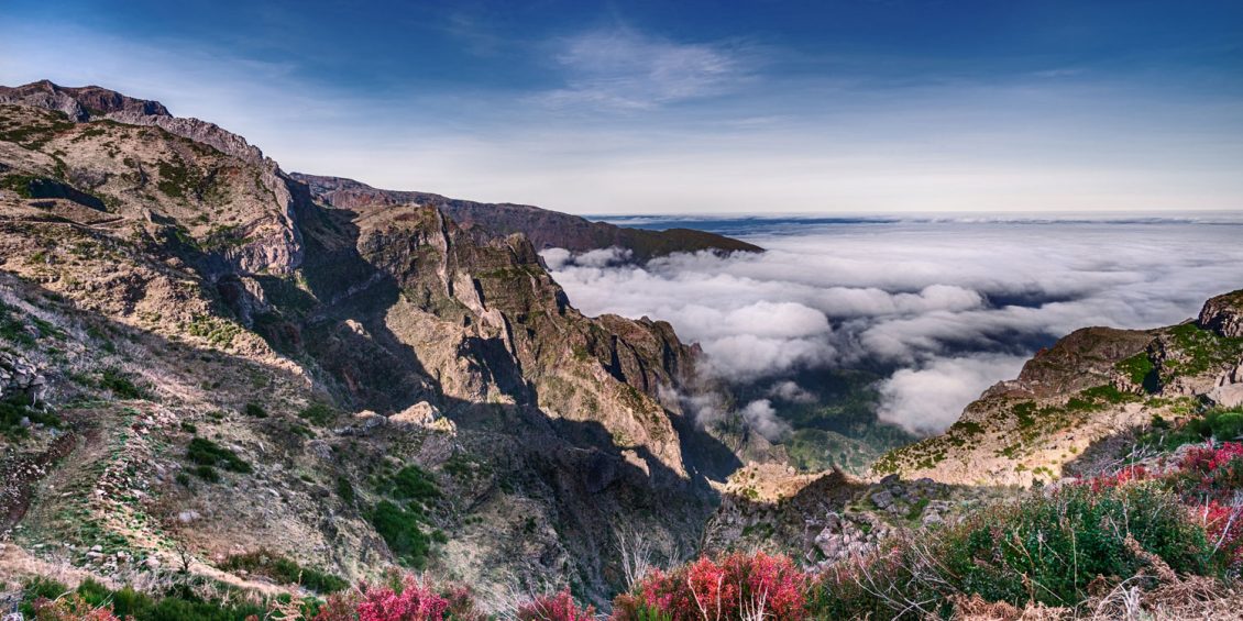 Madeira – das perfekte Winterreiseziel