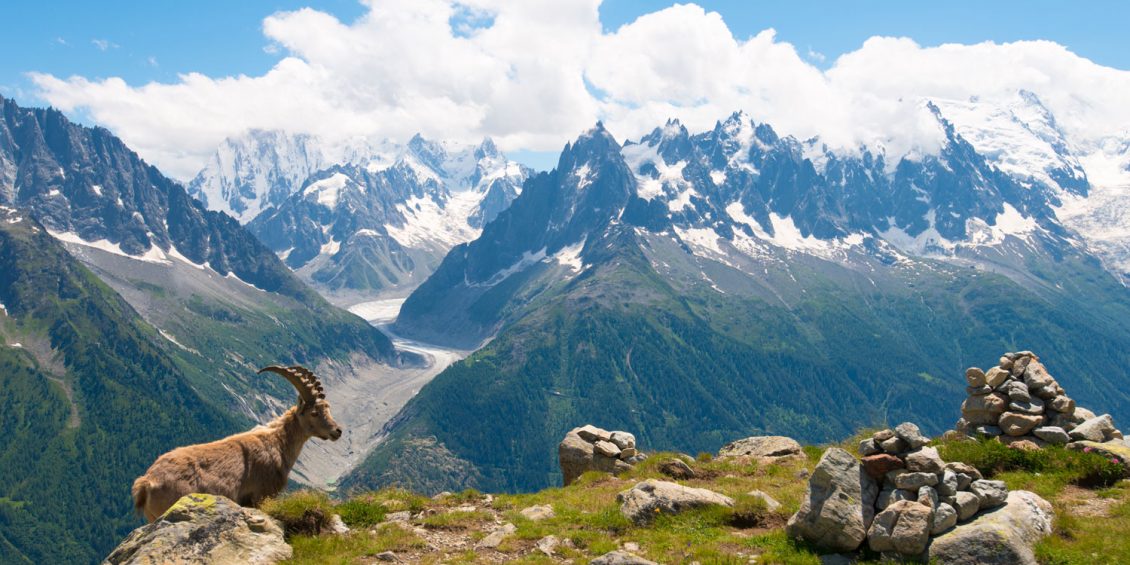 Europas höchste Gipfel – Wandern und Bergsteigen auf Monte Rosa, Mont Blanc, Elbrus und Co.