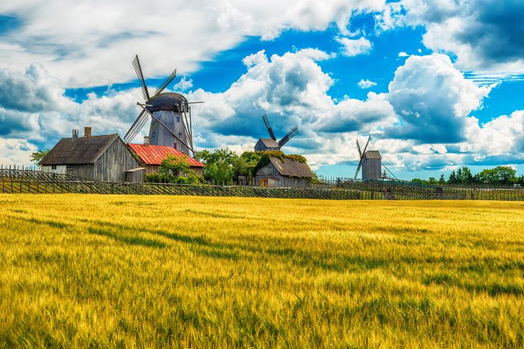 Windmühlen auf Saaremaa