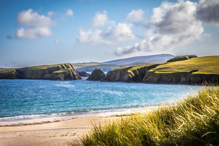 Natur auf den Shetlandinseln