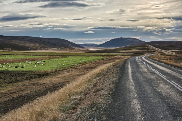 Entlang der Hringvegur