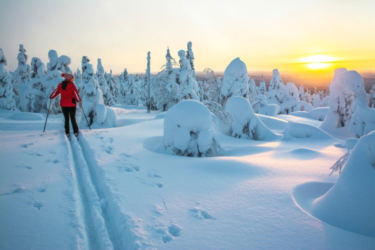 Unterwegs in der winterlichen finnischen Natur