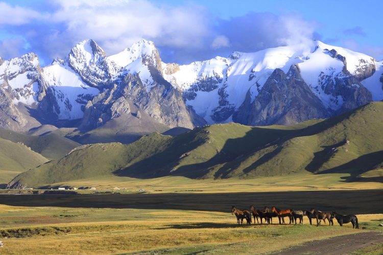 Am besten erkundet man Kirgisistan beim Pferde-Trekking