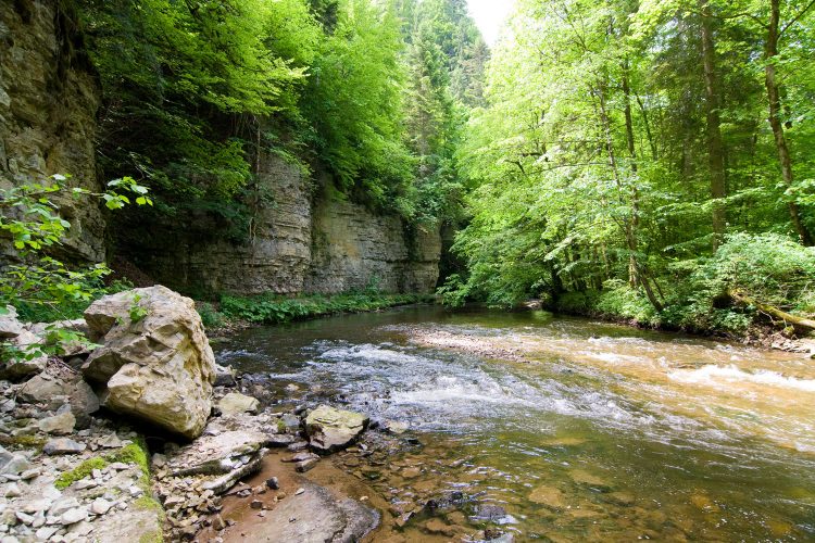 Steile Felswände kennzeichnen die Wutachschluch