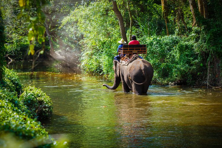 Elefanten-Safari in Thailand