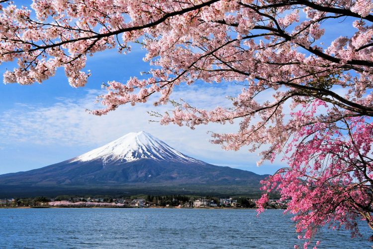 Fujiyama in Japan