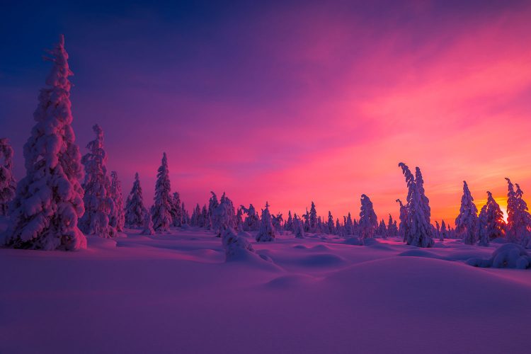 Faszinierende Farben am Winterhimmel