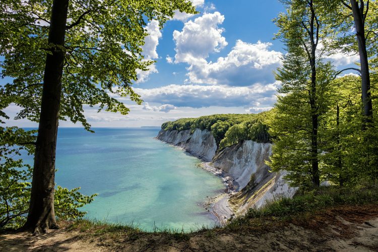 Kreidefelsen Rügen