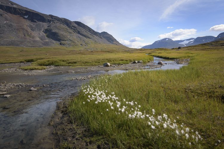 Unberührte Natur in Nordschweden