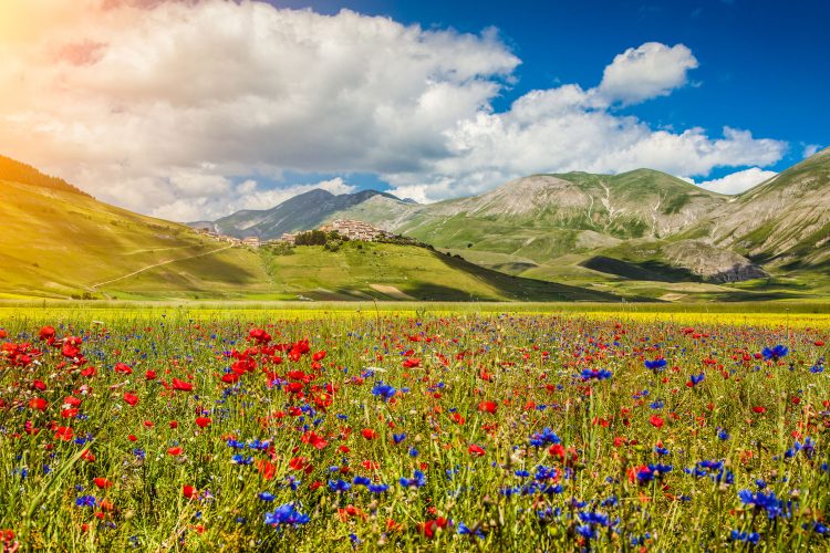 Castelluccio