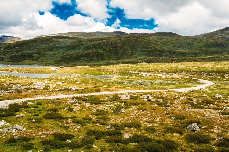 Weg durch die norwegische Natur