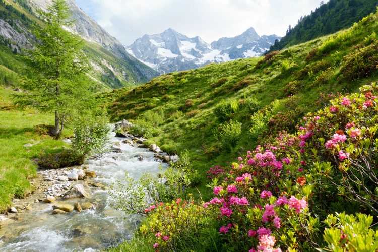 Landschaft in Südtirol