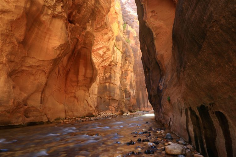 Wanderung durch den Virgin River