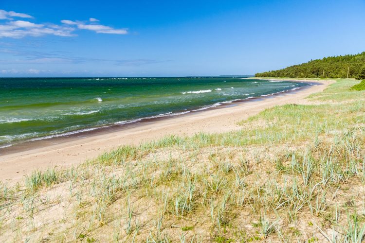 Strand in Estland