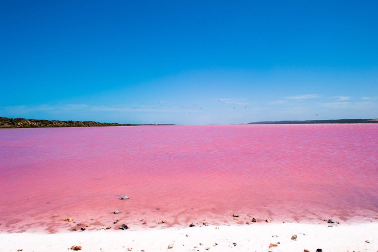 Lake Hillier