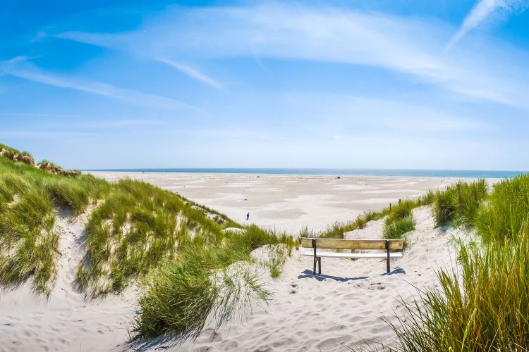 Amrum