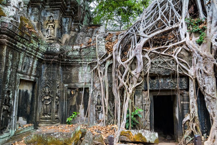 Tempelanlage Ta Prohm 