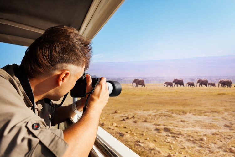 Distanz ist die Grundregel beim Beobachten von Wildtieren