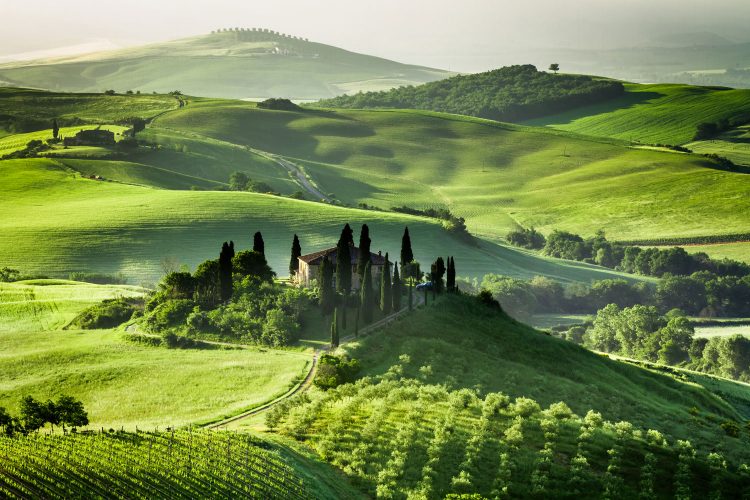 Landschaft im Val d'Orcia