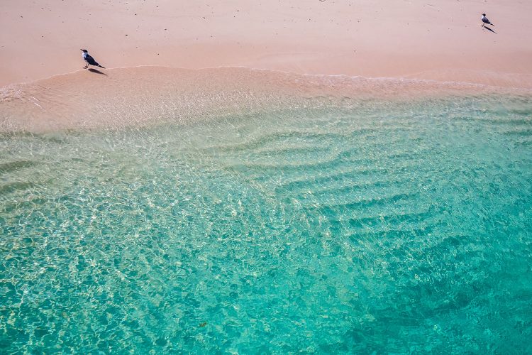 Rosa Sand auf den Bahamas