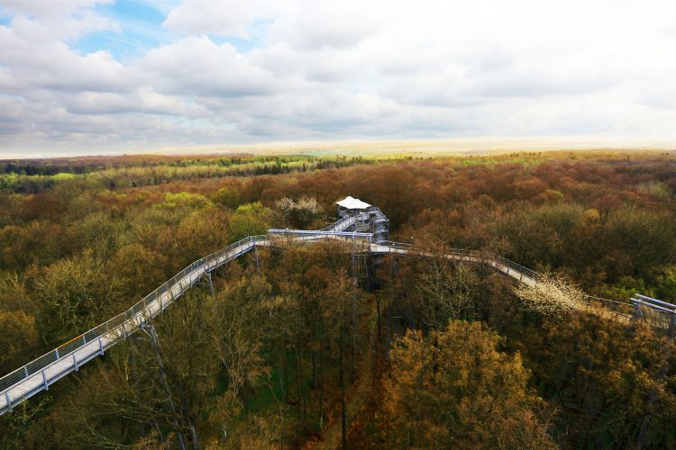 Baumkronenpfad Nationalpark Hainich