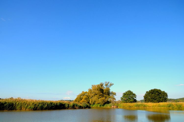 Polderlandschaft Oder