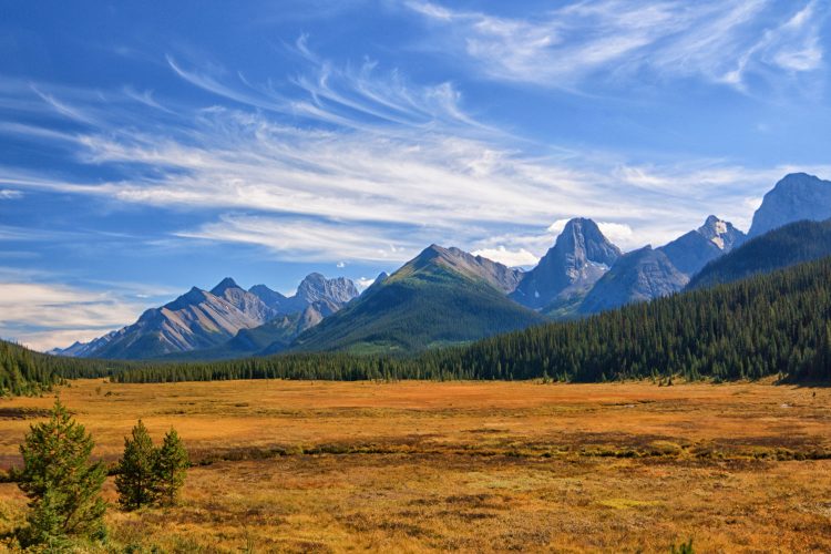 Herbststimmung in den Rocky Mountains