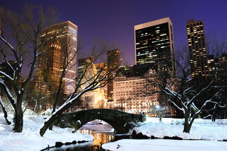 Winter im Central Park