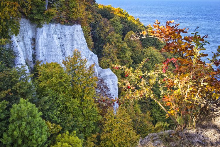 Herbst auf den Kreidefelsen