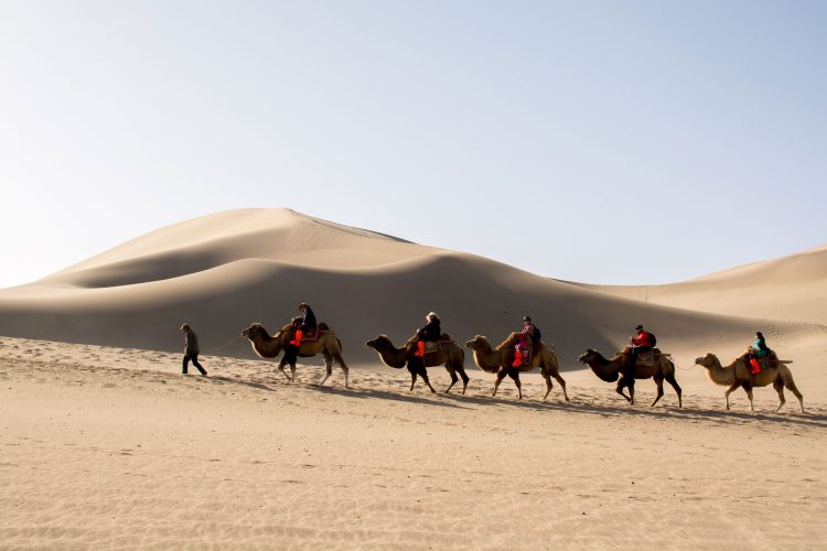 Kamelkarawane durch die Wüste
