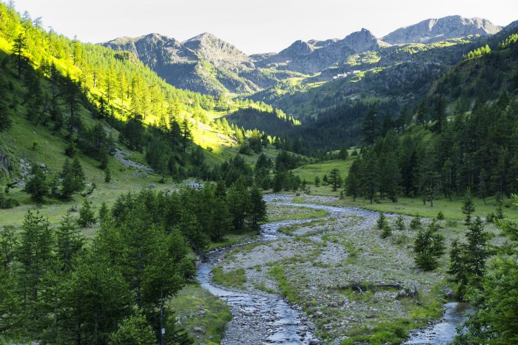 Alpenpanorama