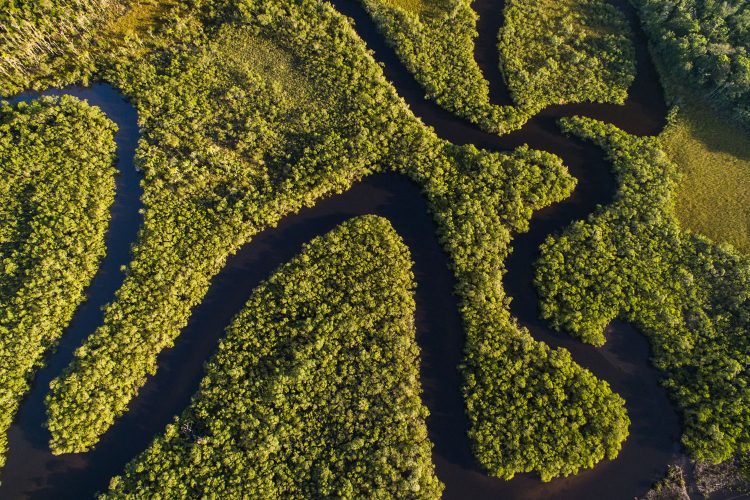 Amazonas