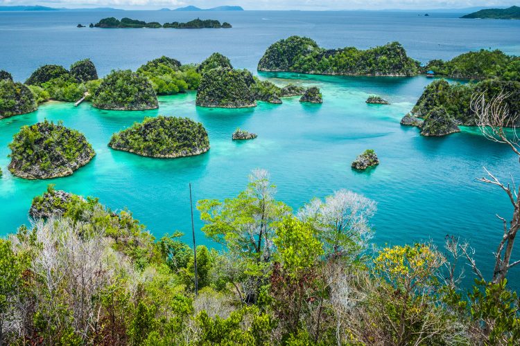 Inselgruppe Raja Ampat