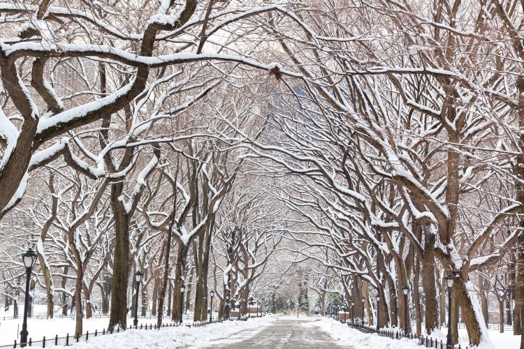 Verschneiter Central Park