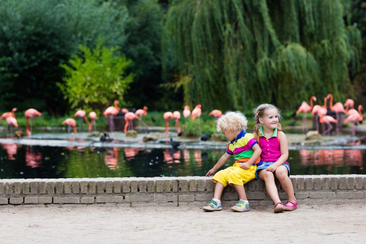 Kinder im Zoo 