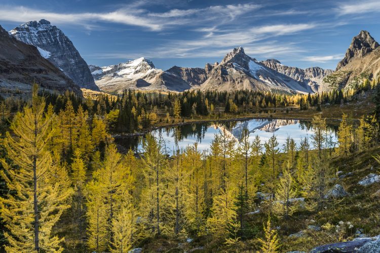 Lake O'Hara