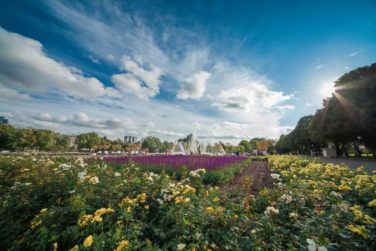 Traumhafter Gorki-Park