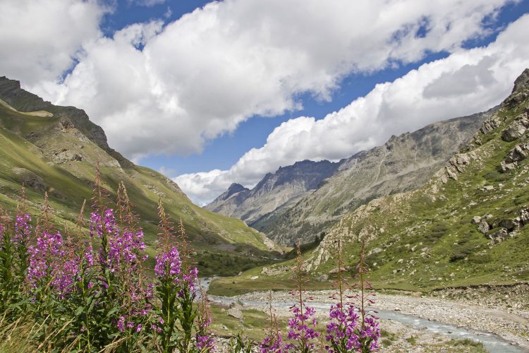 Landschaft im Nationalpark Gran Paradiso