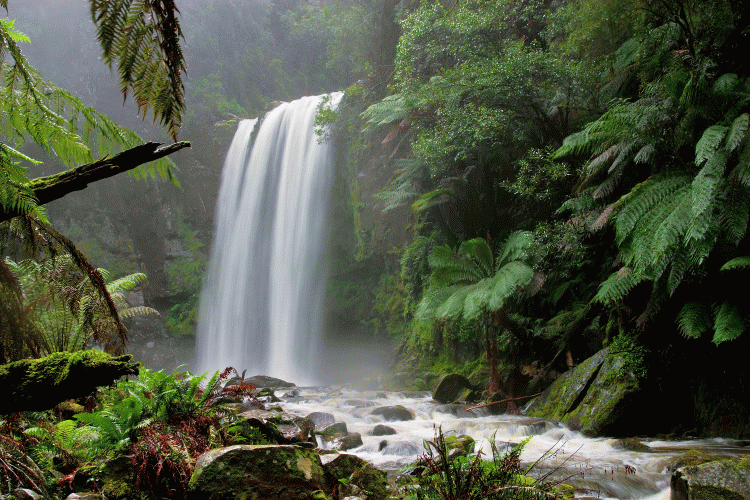 Wasserfall in den Otways