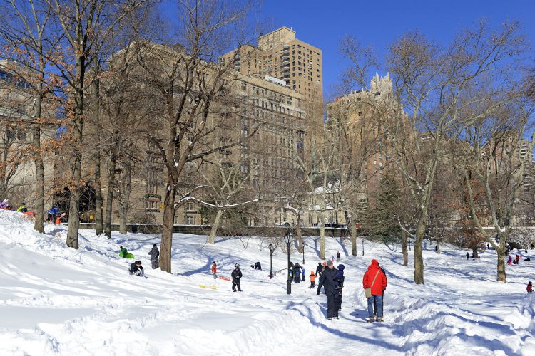 Schlittenfahren im Central Park