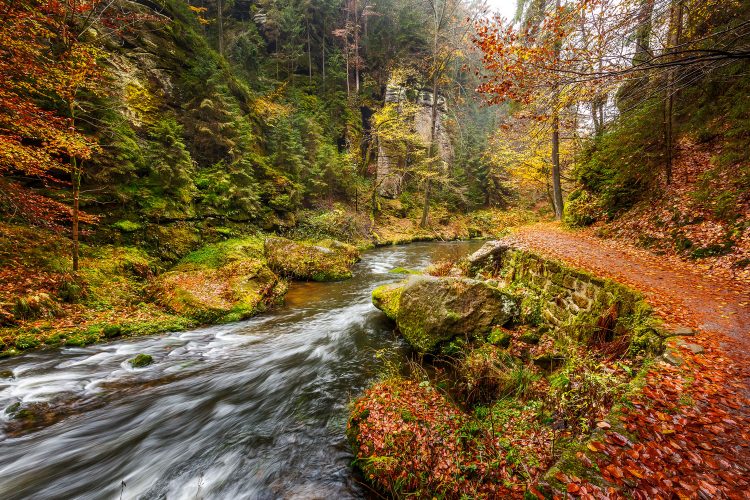 Wanderweg im Elbsandsteingebirge