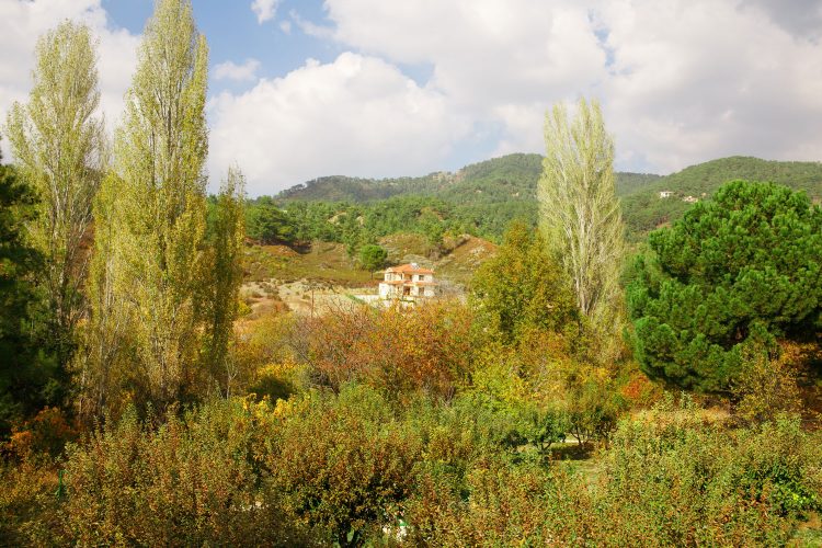 Dorf auf Zypern