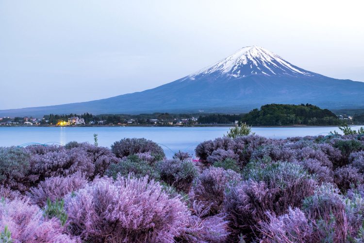 Kawaguchi-See vor dem Fuji