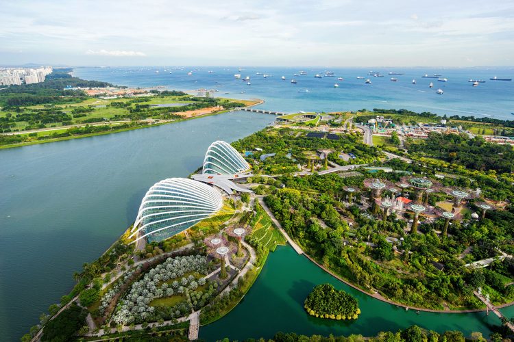 Blick auf Singapurs grüne Lunge: Gardens by the Bay