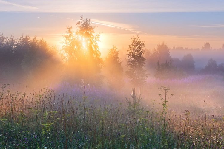 Morgendämmerung 