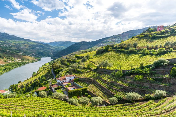 Landschaft des Douro