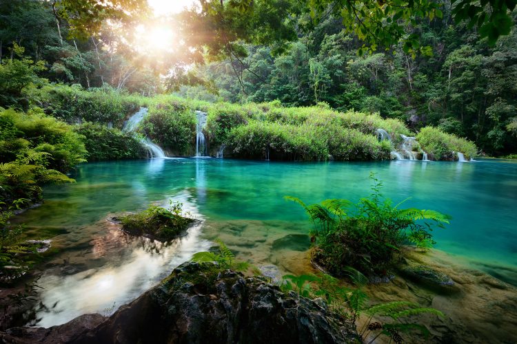 Naturschutzgebiet Semuc Champey in Guatemala