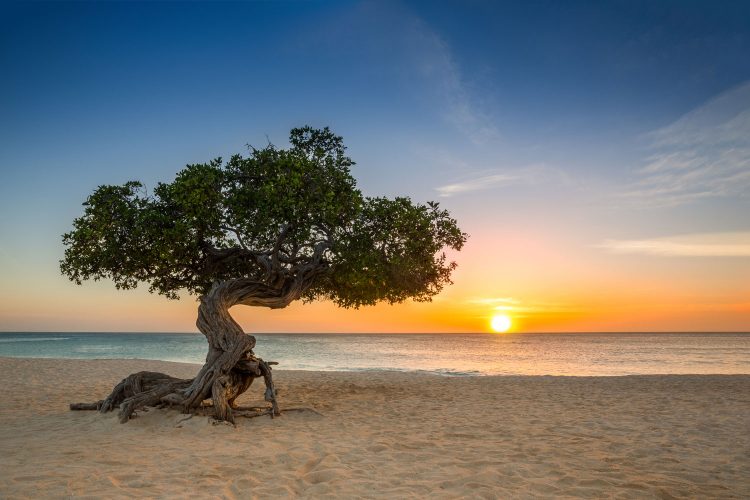 Den letzten Abend des Jahres auf Aruba genießen